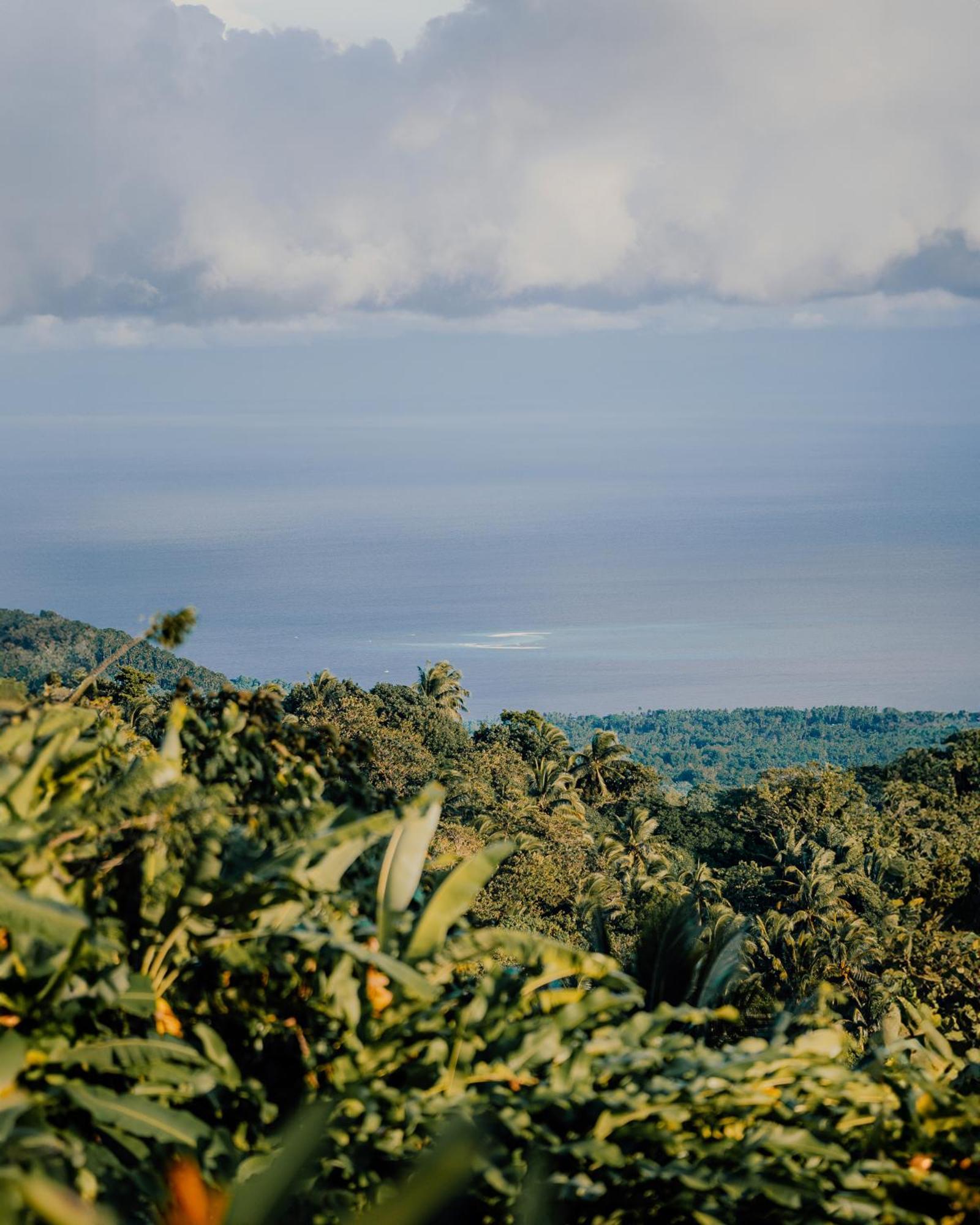 Bintana Sa Paraiso Binunsaran Mambajao Bagian luar foto