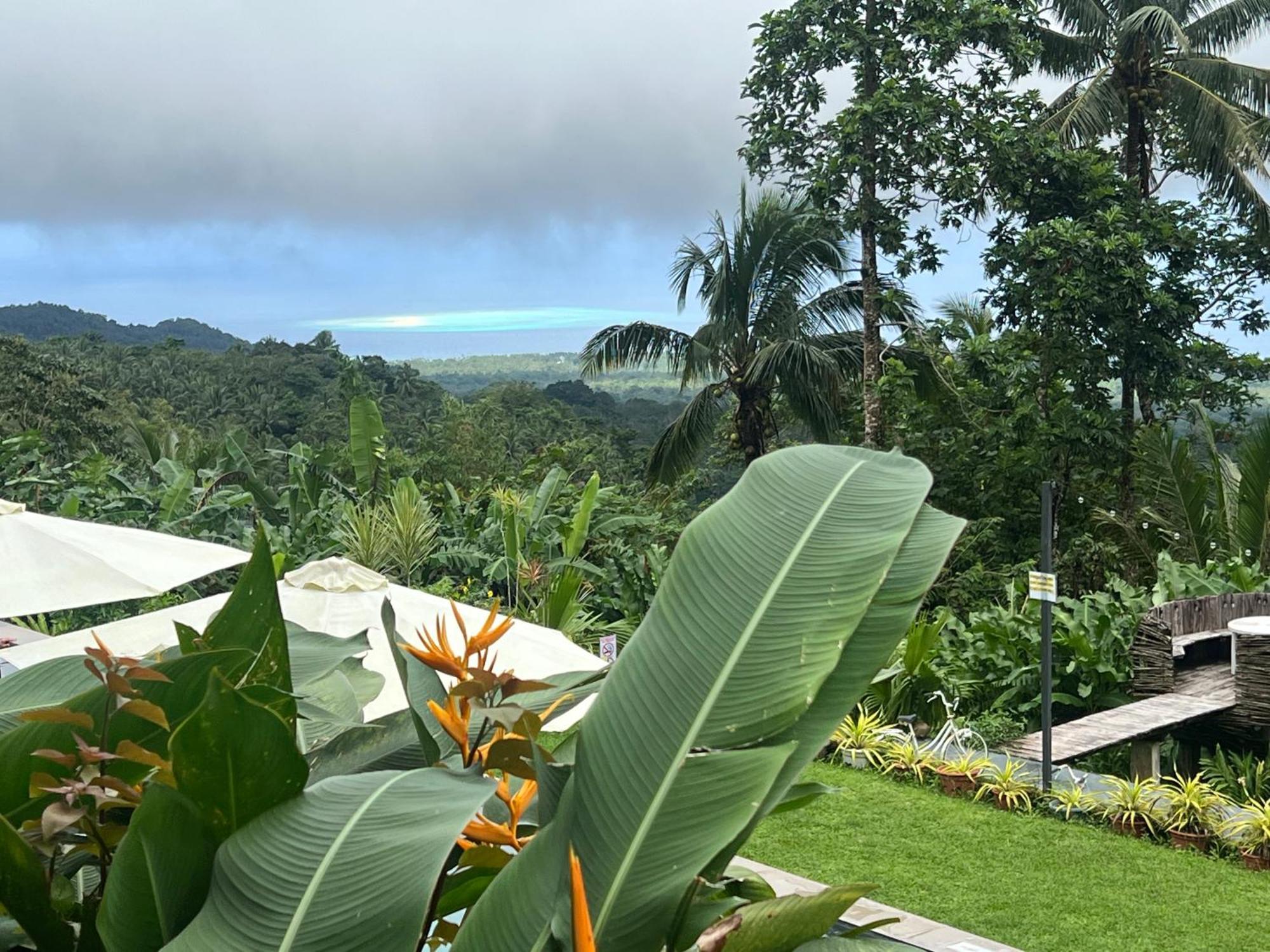 Bintana Sa Paraiso Binunsaran Mambajao Bagian luar foto